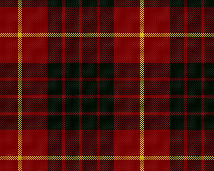 Cameron Modern Tartan Scarf