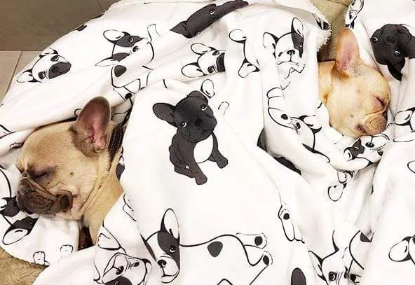 Frenchie Blanket | Frenchiestore | French Bulldogs on Black & White
