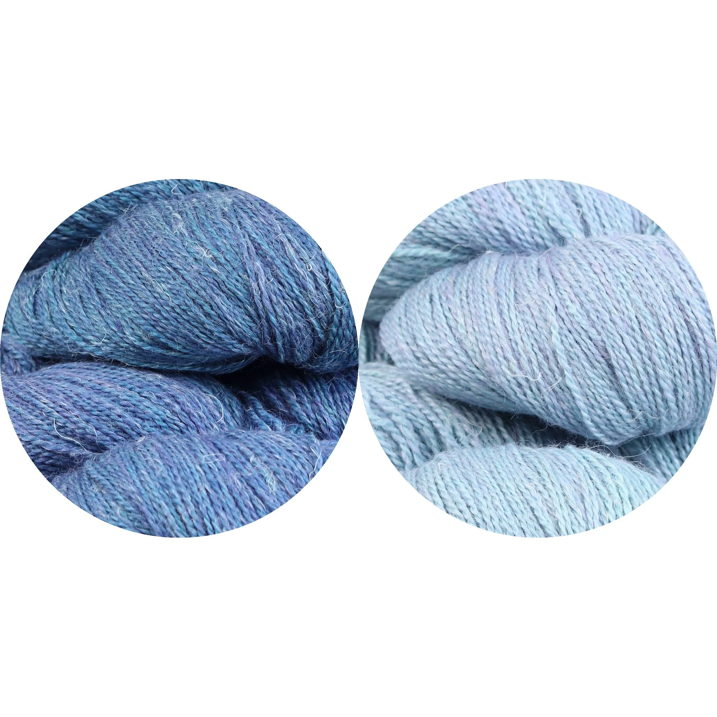 Lobelia Kit (Bellflower/Hydrangea)