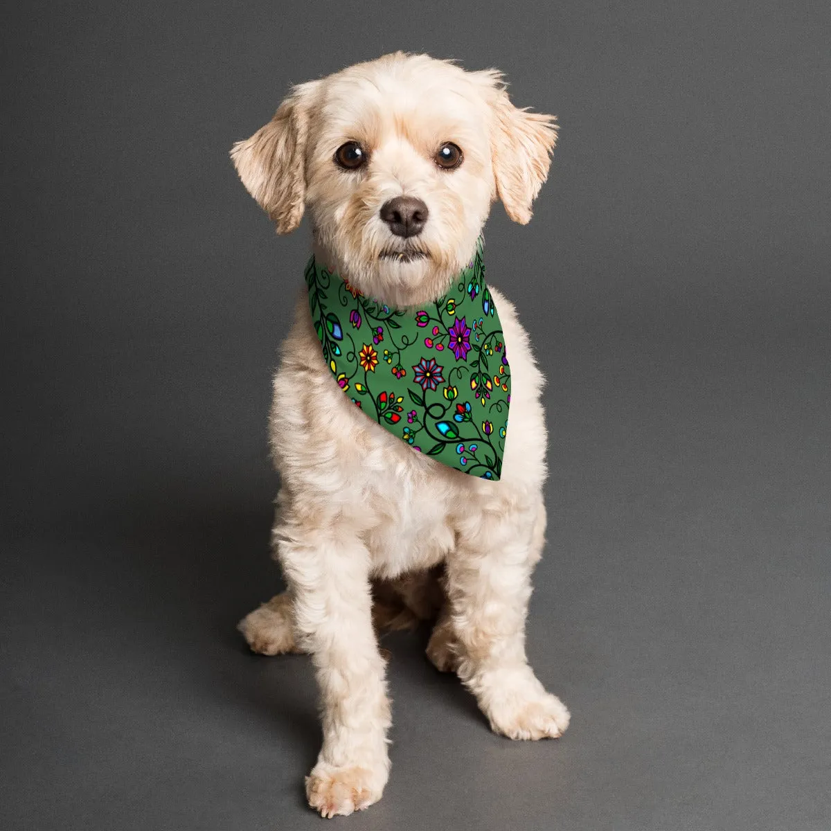 Prairie Paintbrush Sage Pet's Scarf