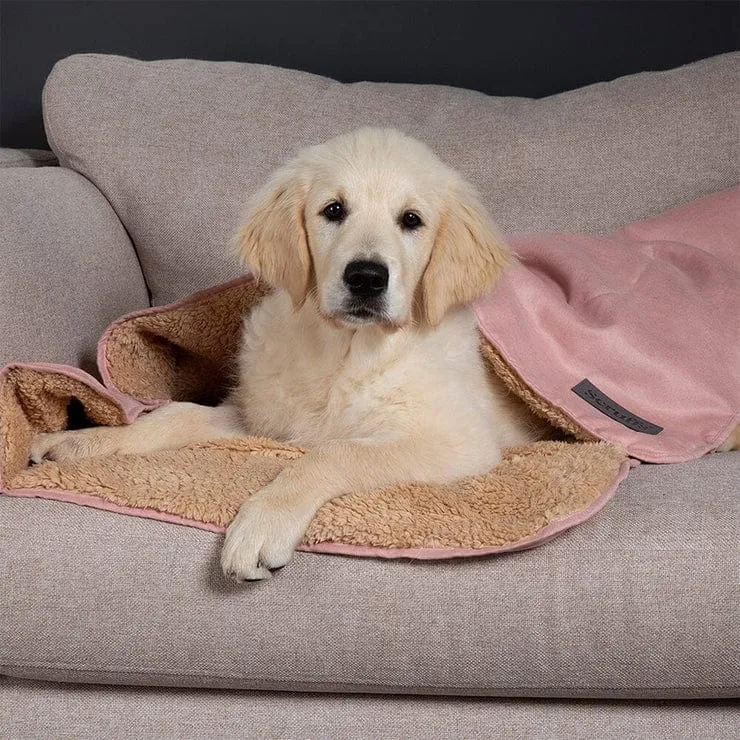 Scruffs® Snuggle Blanket - Pet Blanket