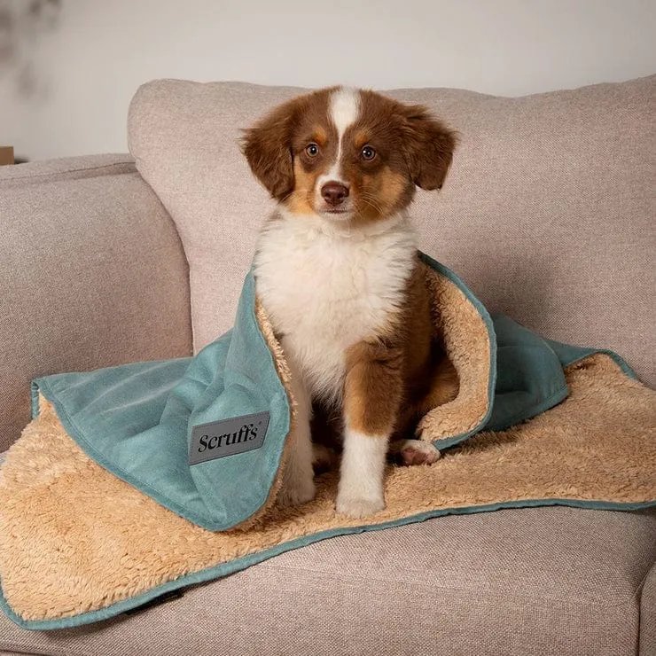 Scruffs® Snuggle Blanket - Pet Blanket