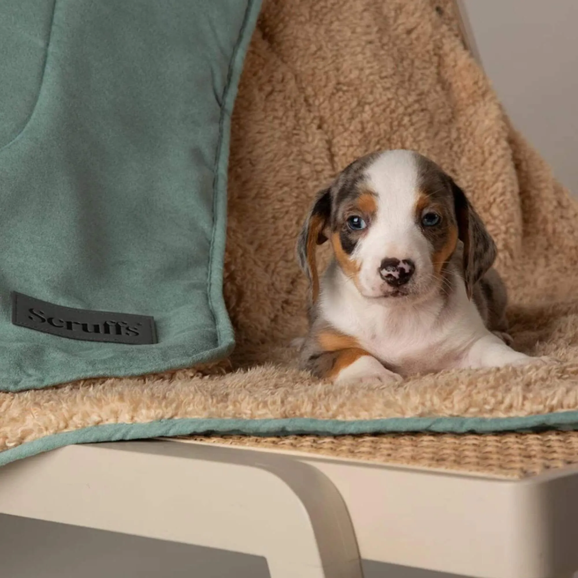 Scruffs Snuggle Plush Pet Blanket