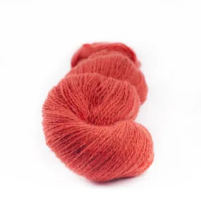 Vaike Kit (Saffron)