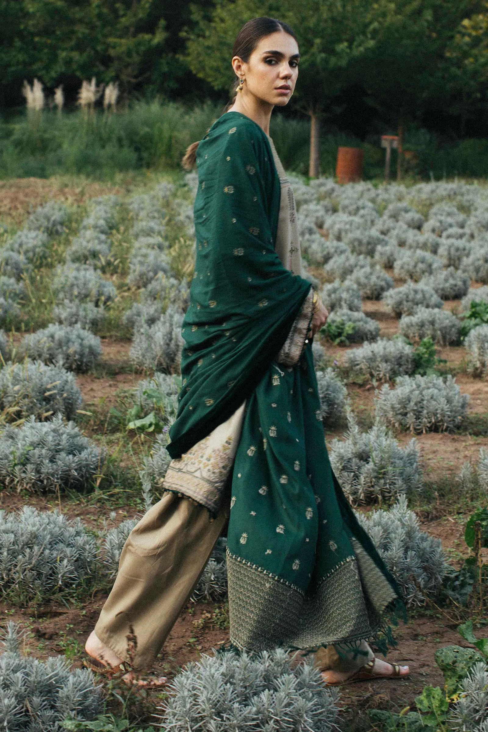 Zara Shahjahan Winter Collection (with Shawl) – Zohra