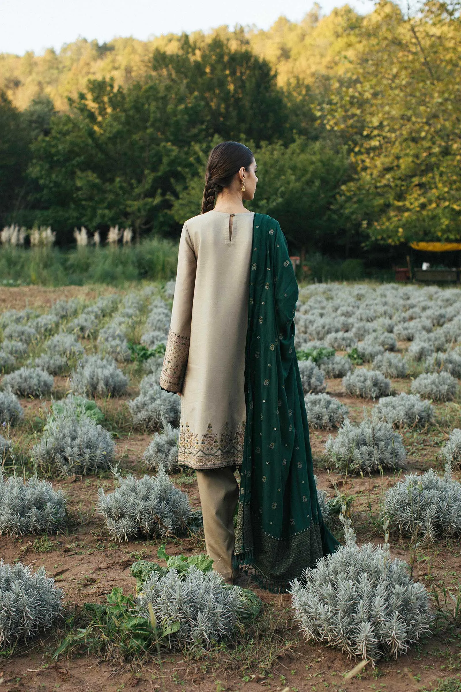 Zara Shahjahan Winter Collection (with Shawl) – Zohra